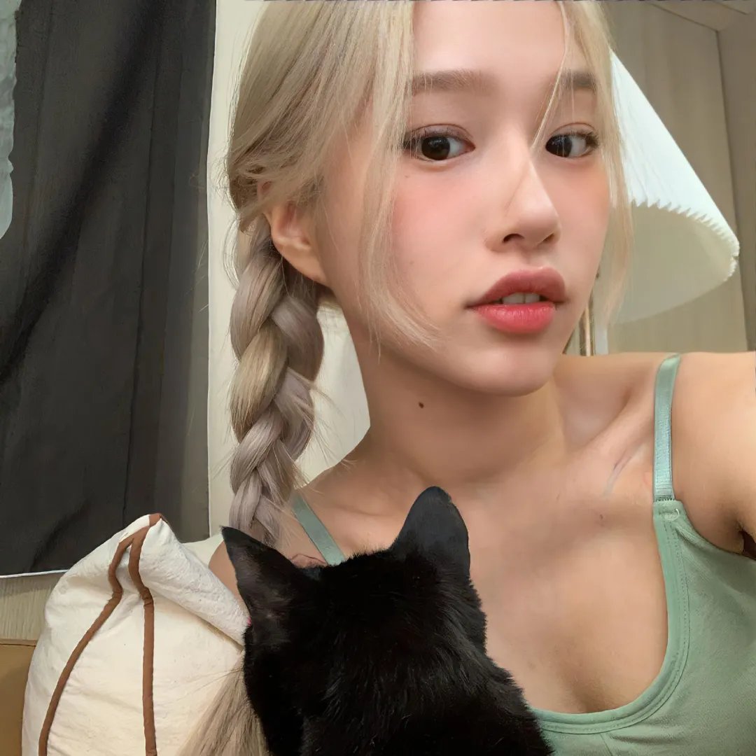 美声歌鸡